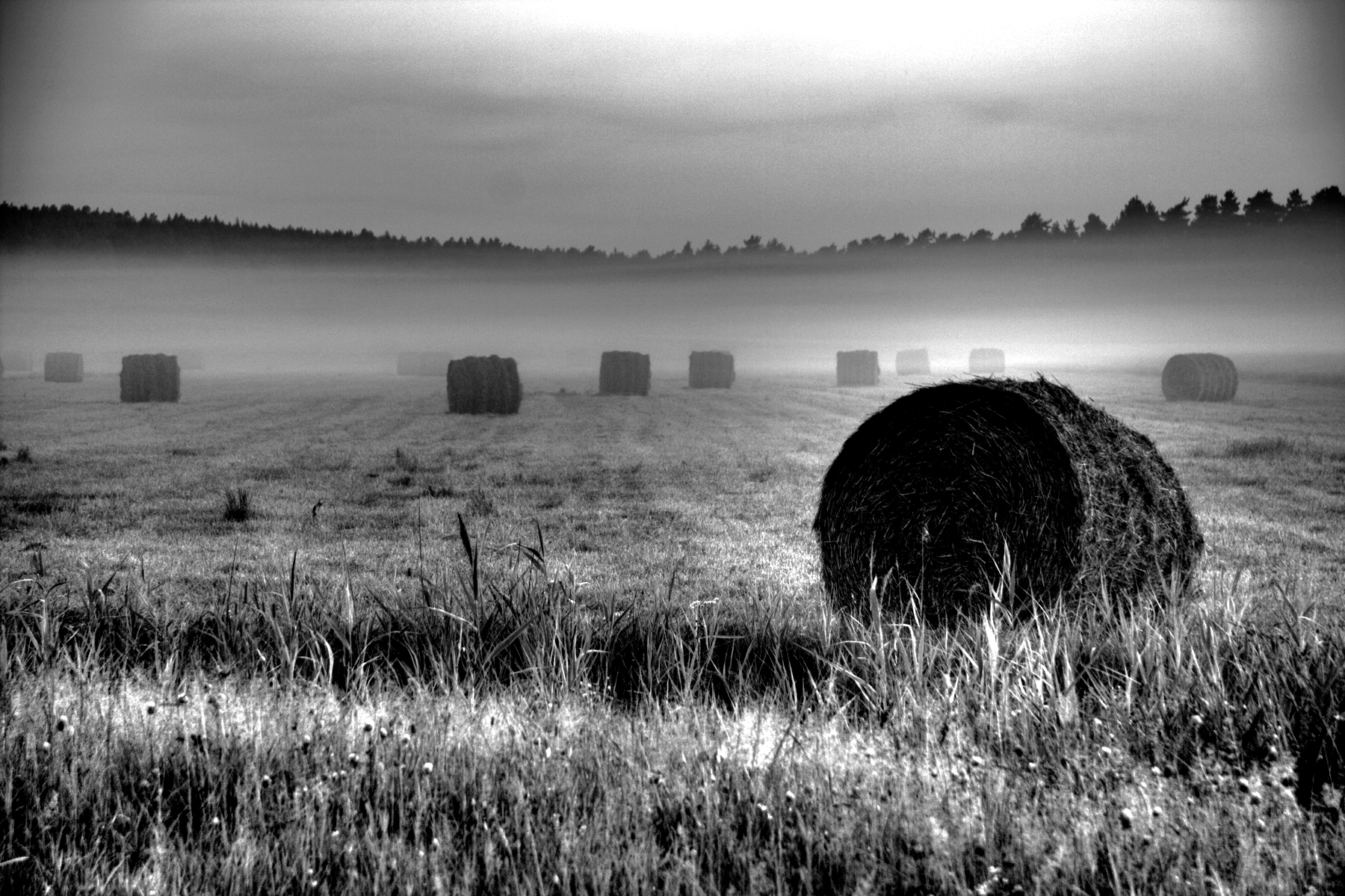 project Builder Images